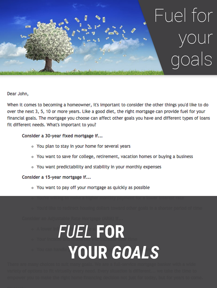 Velma's Credit Tips Campaign