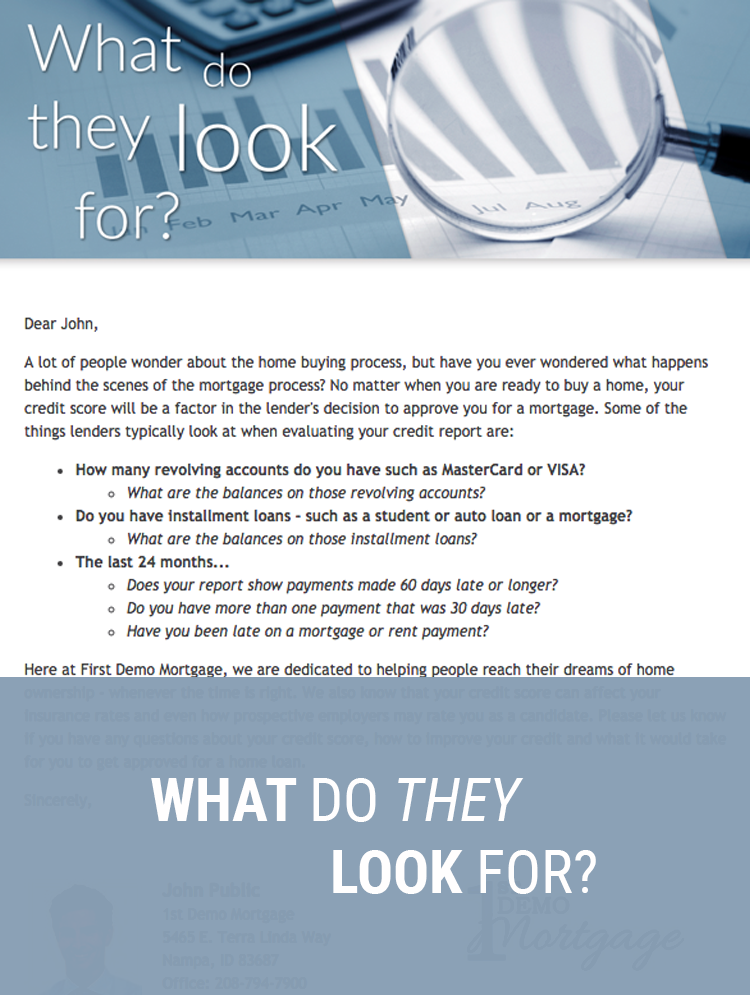 Velma's Credit Tips Campaign